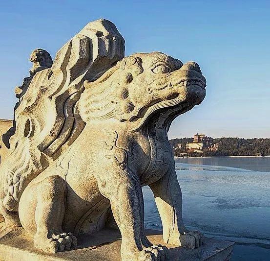 我国传统四大神兽的简介